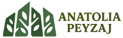 Anatolia Peyzaj